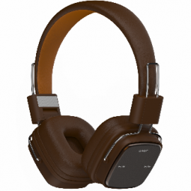 PR-BT890 Bluetooth Headphone